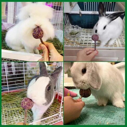 kathson 20PCS Rabbit Timothy Hay Treats Sticks,Interactive Bunny Lollipop Chew Sticks,Natural Guinea Pigs Chewing Treats Molar Teeth Toys for Small Animals,Chinchilla,Hamster,Gerbil in Kuwait