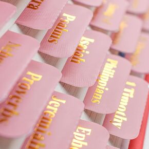 VANRA Bible Tabs for Women Study Bible Journaling Supplies Large Print, 96 Tabs Old and New Testament Studying with Blank Laminated Bible Tabs Pink (Gold Lettering)