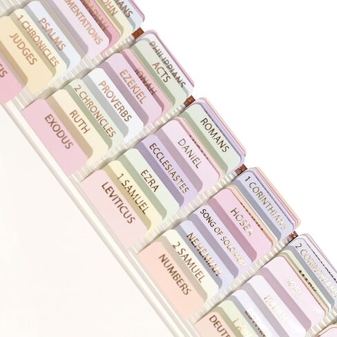 Laminated Bible Tabs for Women, Bible Study, Gold Foil Indexing Labels, Bible Journaling, Durable, New and Old Testament, Christian, Catholic, Apocrypha, 90 Tabs - Let Him Shine in Saudi Arabia