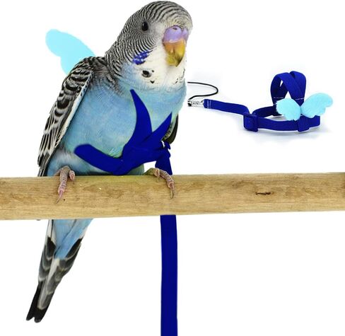 Budgerigar Harness and Leash, Adjustable Parrot Bird Training Design Anti-Bite, Bird Nylon Rope with Cute Wing for Budgerigar and Same Size Birds (S, Black) in Saudi Arabia