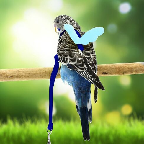 Budgerigar Harness and Leash, Adjustable Parrot Bird Training Design Anti-Bite, Bird Nylon Rope with Cute Wing for Budgerigar and Same Size Birds (S, Black) in Saudi Arabia