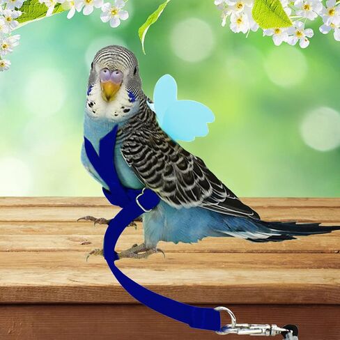 Budgerigar Harness and Leash, Adjustable Parrot Bird Training Design Anti-Bite, Bird Nylon Rope with Cute Wing for Budgerigar and Same Size Birds (S, Black) in Saudi Arabia