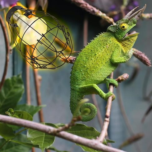 قطعتان من غطاء مصباح حماية لسخان الزواحف، حامل مصباح حراري من السيراميك، مضاد لحروق درجة الحرارة العالية لحظيرة حوض السمك البرمائية في الشتاء (لا يشمل المصباح) in Kuwait