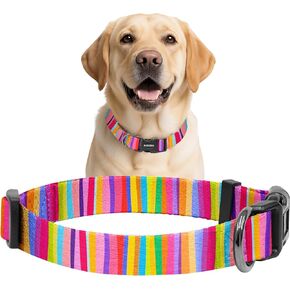 Kazazoo Dog Collar Cute and Soft Nylon Puppy Collar Girl, Adjustable Dog Collars for Small Medium Dogs, Purple Flowers-M in Kuwait