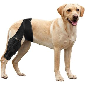 Dog Knee Support for Cruciate Injury – Flexible Stabilizer with Adjustable Straps, Breathable Neoprene, 4-Leg Universal Fit (Front/Hind, Left/Right), Ideal for Post-Op Healing (L) in Kuwait