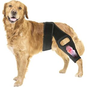 Knee Brace for Dogs for Torn ACL/CCL & Hind Leg Support, for Knee Cap Dislocation, Arthritis - Keeps The Joint Warm and Stable - Extra Support - Reduces Pain and Inflammation (XXL) in Kuwait