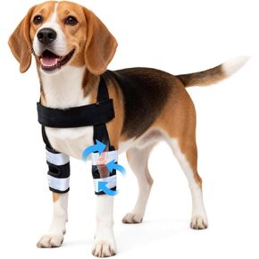 Petanims Dog Front Leg Brace - Knee/Carpal/Wrist Support for Dogs, Adjustable Dog Elbow Brace with Shoulder Support, Reflective Dog Elbow Protector for Pain Relief & Better Recovery, Medium in Kuwait