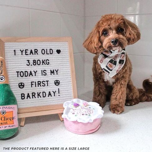 Haute Diggity Dog Birthday Girl Cake, Plush Designer Dog Toys with Interactive Squeaker, Stimulating Pet Enrichment, Machine-Washable & Safe Materials for All Breeds, Size Large in Saudi Arabia