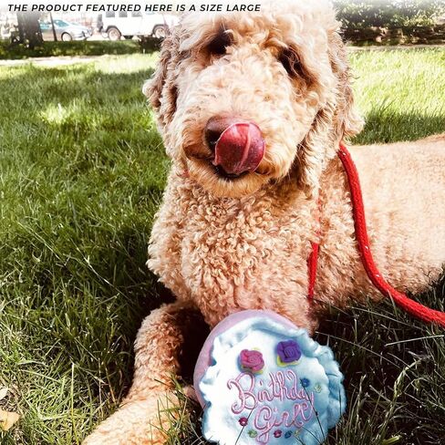 Haute Diggity Dog Birthday Girl Cake, Plush Designer Dog Toys with Interactive Squeaker, Stimulating Pet Enrichment, Machine-Washable & Safe Materials for All Breeds, Size Large in Saudi Arabia