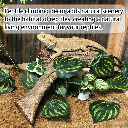 Tfwadmx Reptile Branches, Natural Reptile Corner Climbing Branch, Snake Climbing Branch Chameleon Cage Accessories Terrarium Plant Decoration for Bearded Dragon Gecko Snake(13 Inch) in Kuwait