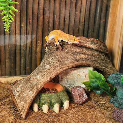 Tfwadmx Reptile Branches, Natural Reptile Corner Climbing Branch, Snake Climbing Branch Chameleon Cage Accessories Terrarium Plant Decoration for Bearded Dragon Gecko Snake(13 Inch) in Kuwait
