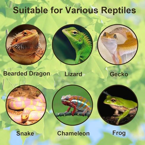 Tfwadmx Reptile Branches, Natural Reptile Corner Climbing Branch, Snake Climbing Branch Chameleon Cage Accessories Terrarium Plant Decoration for Bearded Dragon Gecko Snake(13 Inch) in Kuwait