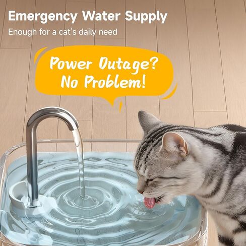 PETTEN Glass Cat Water Fountain, Ultra Quiet Automatic Pet Water Fountain for Cats, Easy Clean & Hygienic, No Plastic, Filtered Circulating Drinking Fountain for Indoor Cats (78oz/2.5L) in Saudi Arabia