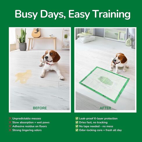 Pet N Pet، 50 قطعة من وسادات تبول الكلاب، وسادة كلب نباتية معتمدة بنسبة 48% من وزارة الزراعة الأمريكية، وسادات تدريب غير معطرة للجراء، وسادات تبول عالية الامتصاص ومقاومة للتسرب للكلاب in Kuwait