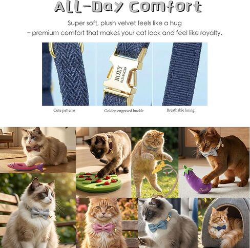 Custom Engraved Cat Collar with Removable Bow Tie - Personalized ID Tag & Safety Bell, Adjustable Luxury Polyester Pet Collar (Small & Large Sizes), （Non- Breakaway） Multiple Colors for Cats in Kuwait