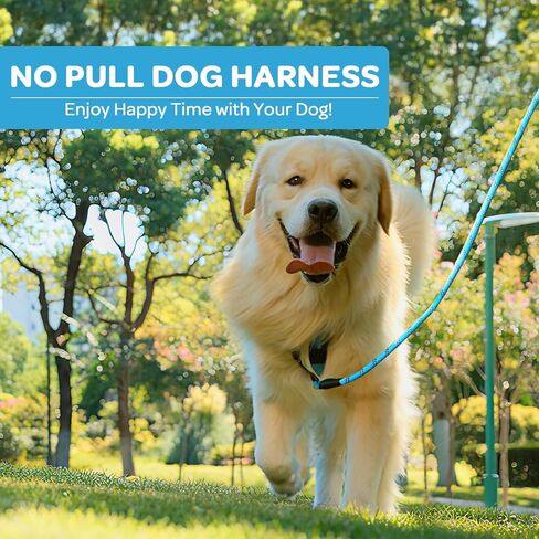 FURRYFECTION Plaid Dog Harness for Large Dogs, Reflective No Pull Adjustable Pet Vest with Front Clip, Leash, Easy Control Handle and Seat Belt, Blue, L in Kuwait
