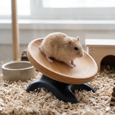 Hamster Wheel Toy, Wooden + Plastic Hermit Crabs Running Wheel Toys, Small Animals Cage Accessory, Tank Accessory, Suitable for Hermit Crab Hamster Rat in Kuwait