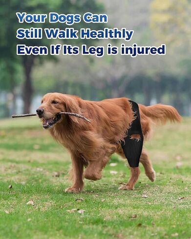 دعامة ركبة الكلب، دعامة ACL للكلاب الممزقة الأمامية والخلفية الخلفية للساقين ACL المسيل للدموع، دعامة ساق ركبة الورك للكلاب لخلل التنسج الورك، التهاب مفاصل الكلاب، الرضفة المريحة in Kuwait