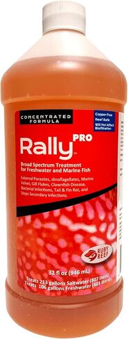 Ruby Reef Rally Pro (32 oz) in Kuwait