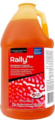Ruby Reef Rally Pro (32 oz) in Kuwait