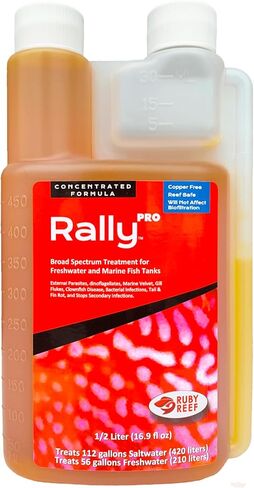 Ruby Reef Rally Pro (32 oz) in Kuwait
