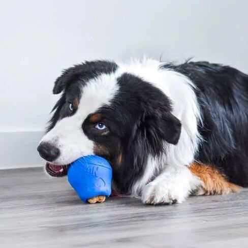 Nylabone NUBZ مجموعة متنوعة من ألعاب الكلاب تريت آند تشيو، مطاط طبيعي، 3 قطع، مضغ متوسط، تنظيف الأسنان in Kuwait