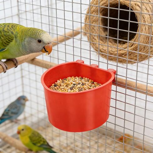 100 PCS Chicken Water Cups, 8 oz Cage Cups Chicken Feeder Birds Hanging Feeders Seed Bowl Plastic Water Bowl Hanging Feeding Watering Dish Coop Cups for Parrot Parakeet Poultry, Red in Kuwait
