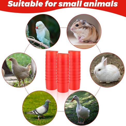 100 PCS Chicken Water Cups, 8 oz Cage Cups Chicken Feeder Birds Hanging Feeders Seed Bowl Plastic Water Bowl Hanging Feeding Watering Dish Coop Cups for Parrot Parakeet Poultry, Red in Kuwait