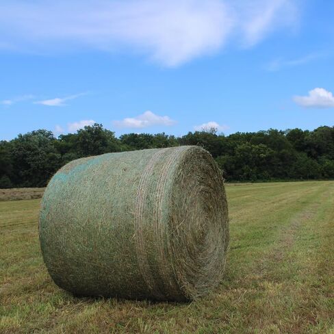 Bale Tuff Round Bale Hay Net Wrap | Green | Farm-Grade UV Stabilized Net Wrap for Hay, Corn Stalks & Alfalfa | (64 in x 7,000 ft) (1) in Kuwait