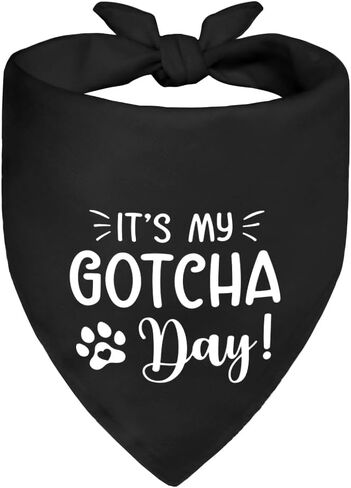 It's My Gotcha Day Black Dog Bandana, Cute Pet Adoption Scarf Accessory Photo Prop for Adoption Anniversary Party Dinner Holiday, Adoptions Day Gifts for Dog Mom Dad, Birthday for Puppy Baby in Kuwait