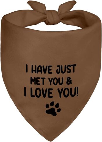 It's My Gotcha Day Black Dog Bandana, Cute Pet Adoption Scarf Accessory Photo Prop for Adoption Anniversary Party Dinner Holiday, Adoptions Day Gifts for Dog Mom Dad, Birthday for Puppy Baby in Kuwait