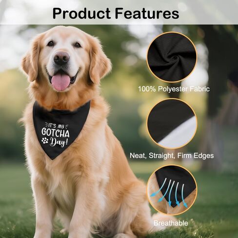 It's My Gotcha Day Black Dog Bandana, Cute Pet Adoption Scarf Accessory Photo Prop for Adoption Anniversary Party Dinner Holiday, Adoptions Day Gifts for Dog Mom Dad, Birthday for Puppy Baby in Kuwait
