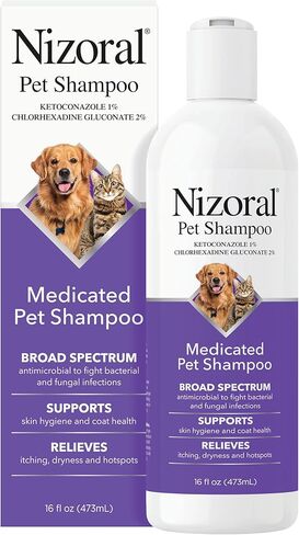 Nizoral Ketoconazole Pet Shampoo for Dogs and Cats, 16 Oz, 1% Ketoconazole, 2% Chlorhexidine Gluconate, Antifungal, Antimicrobial Support, Skin Health, Odor Control, Dog Itching Skin Relief Shampoo in Kuwait