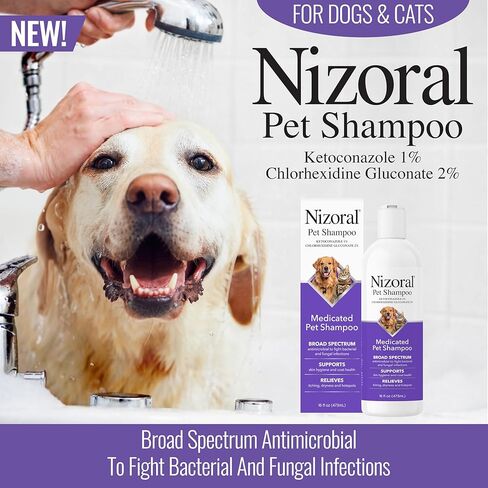 Nizoral Ketoconazole Pet Shampoo for Dogs and Cats, 16 Oz, 1% Ketoconazole, 2% Chlorhexidine Gluconate, Antifungal, Antimicrobial Support, Skin Health, Odor Control, Dog Itching Skin Relief Shampoo in Kuwait