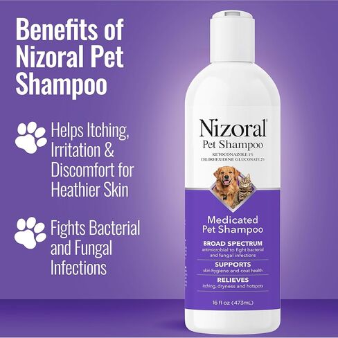 Nizoral Ketoconazole Pet Shampoo for Dogs and Cats, 16 Oz, 1% Ketoconazole, 2% Chlorhexidine Gluconate, Antifungal, Antimicrobial Support, Skin Health, Odor Control, Dog Itching Skin Relief Shampoo in Kuwait