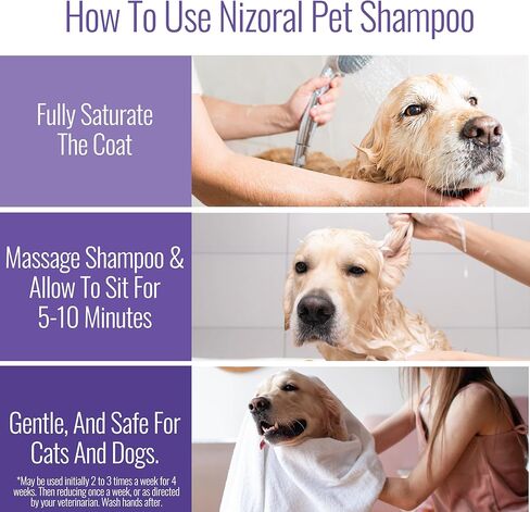 Nizoral Ketoconazole Pet Shampoo for Dogs and Cats, 16 Oz, 1% Ketoconazole, 2% Chlorhexidine Gluconate, Antifungal, Antimicrobial Support, Skin Health, Odor Control, Dog Itching Skin Relief Shampoo in Kuwait