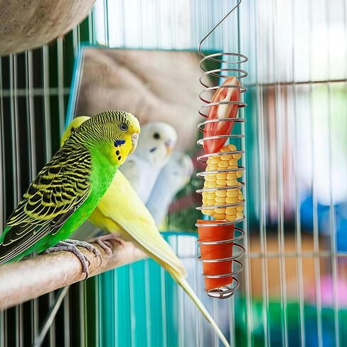 3Pcs Stainless Steel Bird Food Holder Set - Hanging Foraging Basket Cage Accessories, Metal Fruit & Vegetable Feeder for Parrot, Macaw, Cockatoo, Parakeet & Large Birds Cage Toys Gifts in Kuwait