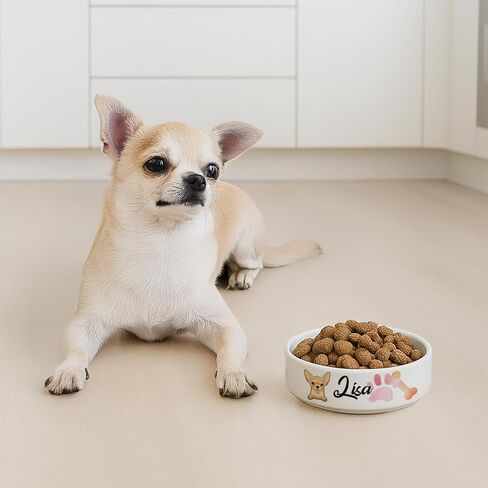 Personalized Dog Bowl for Small Size Dogs - Custom 5'' Round × 2" Tall Cute Ceramic Dog Food & Water Bowl, Small & Medium Pet Dish for Wet Food, Customized Name & Breeds Feeding Puppy Kitten Gift in Kuwait