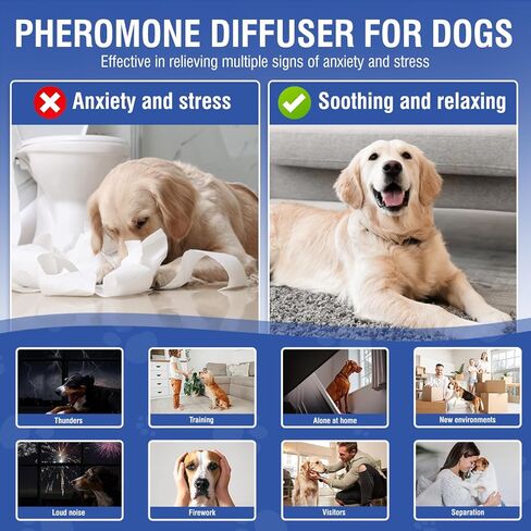 Dog Pheromone Calming Diffuser 4 In 1 Appeasing Pet Pheromones Diffuser to Calm Kit (Plug in+ 3 Pack 48ml Refill) for Anxiety Relief Reduce Barking Aggression Fighting Stress 90 Day Supply(Tasteless) in Kuwait