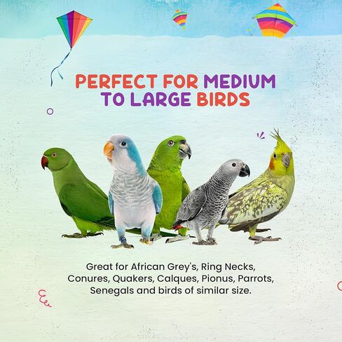 GFF Grass Flip Flops Donkey Pinata Bird Toy - لعبة الطيور المعلقة مقاس 10 بوصة للببغاوات المتوسطة والكبيرة، والرمادي الأفريقي، والرقبة الحلقية، والكونيور، والكويكرز، والسنغال in Kuwait