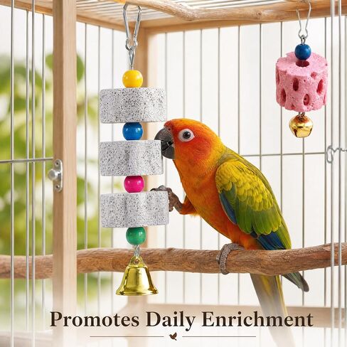 Premium 4pcs Bird Beak Grinding Stone, Natural Calcium Block for Birds, Fun Parakeet Chew Toys with Bells, Cockatiel Cage Accessories in Kuwait