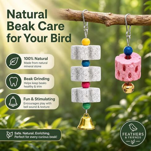 Premium 4pcs Bird Beak Grinding Stone, Natural Calcium Block for Birds, Fun Parakeet Chew Toys with Bells, Cockatiel Cage Accessories in Kuwait