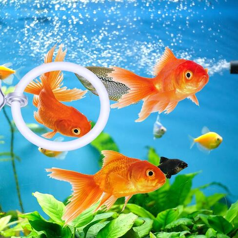 قطعتان من ملحقات أحواض السمك بيتا من ستيكوينزر، ألعاب إثراء حلقة بيتا، حلقة تغذية الأسماك، ألعاب بيتا للتدريب على التمارين in Kuwait