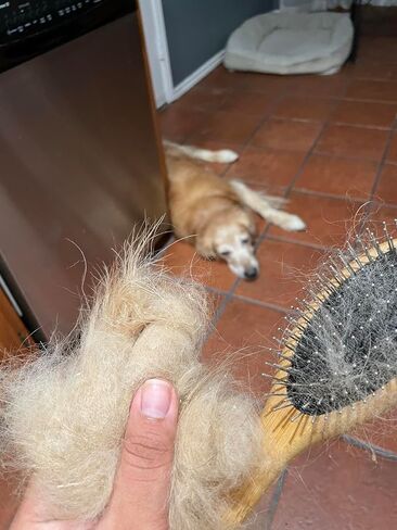 Rocky Mountain Goods Dog Brush – Double Sided Pin & Bristle Brush with Wooden Handle, Pet Grooming Brush for Dogs & Cats, Detangling, Shedding & Healthy Coat in Kuwait