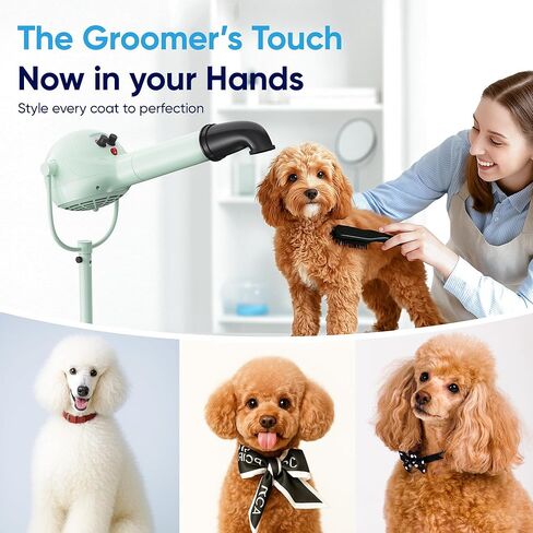 Flying Pig Super One Brushless Motor Dog Pet Stand Grooming Dryer in Kuwait