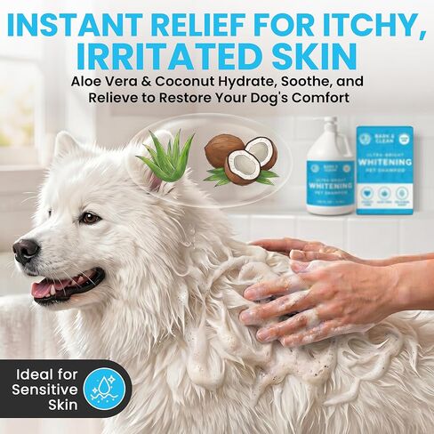 Ultra Bright Whitening Shampoo for Dogs - 1 Gallon with a Pump, 18:1 Dilution - Made with Aloe, Coconut, and Color Enhancing Blue Tint for a Bright and Vibrant Coat in Kuwait