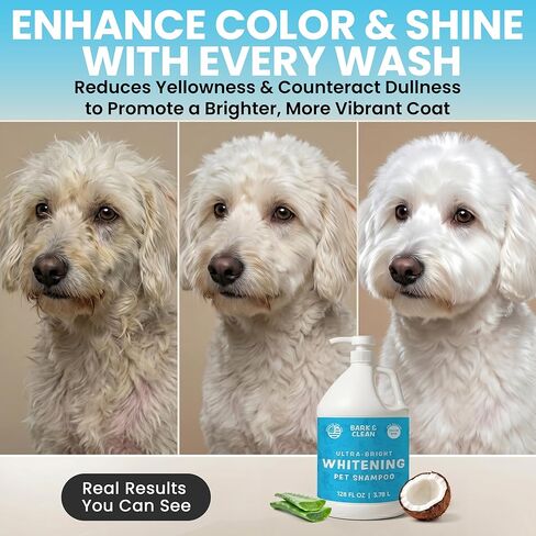 Ultra Bright Whitening Shampoo for Dogs - 1 Gallon with a Pump, 18:1 Dilution - Made with Aloe, Coconut, and Color Enhancing Blue Tint for a Bright and Vibrant Coat in Kuwait