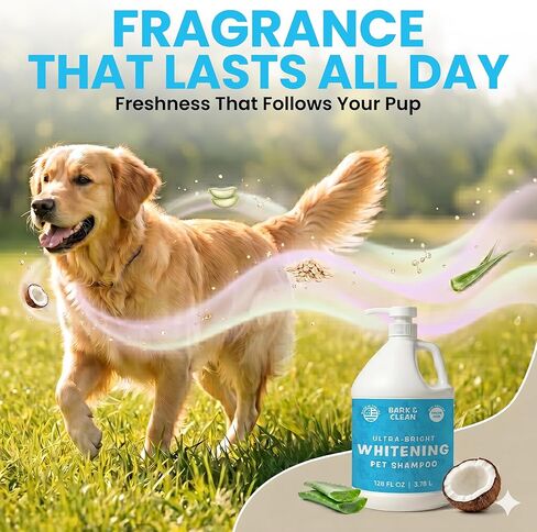 Ultra Bright Whitening Shampoo for Dogs - 1 Gallon with a Pump, 18:1 Dilution - Made with Aloe, Coconut, and Color Enhancing Blue Tint for a Bright and Vibrant Coat in Kuwait