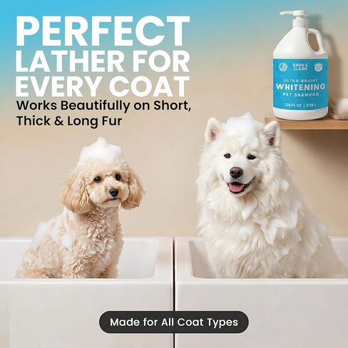 Ultra Bright Whitening Shampoo for Dogs - 1 Gallon with a Pump, 18:1 Dilution - Made with Aloe, Coconut, and Color Enhancing Blue Tint for a Bright and Vibrant Coat in Kuwait
