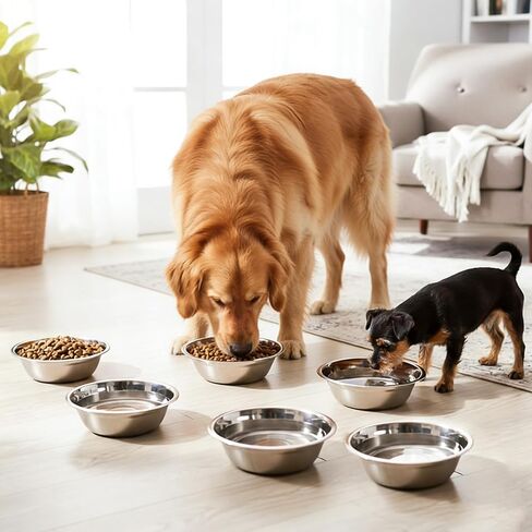 6-Pack Stainless Steel Dog Bowls, 8.26" Metal Food and Water Dish, Replacement Metal Pet Puppy Food Water Bowl Set Suit Dishwasher Safe for Small Medium Large Dogs Cats in Kuwait